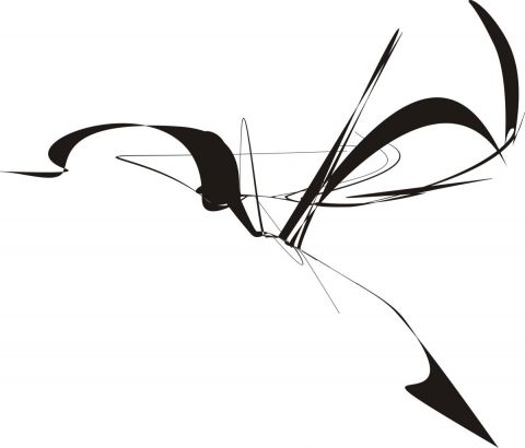Oiseau de nuit